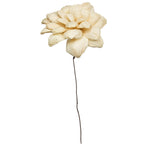 Vickerman H7MAD999 Natural Botanicals 6" Bleached Maize Dahlia On 18" Wire Stem- 6 Stem/Bag. Dried And Preserved.