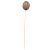 Vickerman H7MIB000 Natural Botanicals 20" Mintola Ball On Stem. Includes 25 Stems Per Pack.