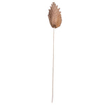 Vickerman H7OAL000 Natural Botanicals 20" Oak Leaf Natural On Natural Ting Ting. Includes 100 Pieces Per Pack.