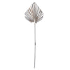 Vickerman H7PAS225 Natural Botanicals 15.75 - 19.5" Metallic Champagne Dried Palm 12 Per Bag.
