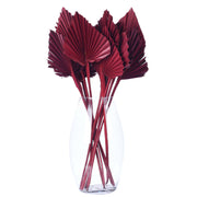Vickerman H7PAS475 Natural Botanicals 15.75 - 19.5