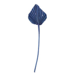 Vickerman H7PAS525 Natural Botanicals 15.75 - 19.5" Midnight Blue Dried Palm Spear 12 Per Bag.