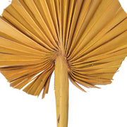 Vickerman H7PAS725 Natural Botanicals 15.75 - 19.5