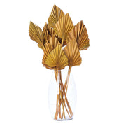 Vickerman H7PAS725 Natural Botanicals 15.75 - 19.5