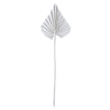 Vickerman H7PAS905 Natural Botanicals 15.75 - 19.5" White Wash Dried Palm Spear 12 Per Bag.