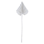 Vickerman H7PAS905 Natural Botanicals 15.75 - 19.5" White Wash Dried Palm Spear 12 Per Bag.