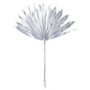 Vickerman H7PPS200 Natural Botanicals 13.75 - 19.5" Metallic Silver Dried Palm Sun Spear 12 Per Bag.