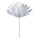Vickerman H7PPS200 Natural Botanicals 13.75 - 19.5" Metallic Silver Dried Palm Sun Spear 12 Per Bag.