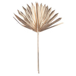 Vickerman H7PPS250 Natural Botanicals 13.75 - 19.5" Metallic Gold Dried Palm Sun Spear 12 Per Bag.