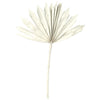Vickerman H7PPS905 Natural Botanicals 13.75 - 19.5" White Wash Dried Palm Sun Spear 12 Per Bag.