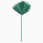 Vickerman H7PSS175 Natural Botanicals 13.75 - 19.5" Emerald Dried Palm Sun Spear 12 Per Bag.