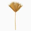 Vickerman H7PSS725 Natural Botanicals 13.75 - 19.5" Aspen Gold Dried Palm Sun Spear 12 Per Bag.