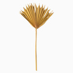 Vickerman H7PSS725 Natural Botanicals 13.75 - 19.5" Aspen Gold Dried Palm Sun Spear 12 Per Bag.