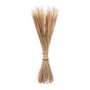 Vickerman H7RES000 Natural Botanicals 24" Reed Spadix Pencil. Includes 150 Pieces Per Pack.