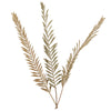 Vickerman H7RSN000 Natural Botanicals 27" Rahul Stick Natural 8 Stems/Bunch. Includes Eight Rahul Sticks.