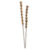 Vickerman H7RSS000 Natural Botanicals 24" Natural Dried Sola Rajani Skin Stick- 24/Bag. Dried And Preserved.