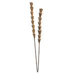 Vickerman H7RSS000 Natural Botanicals 24" Natural Dried Sola Rajani Skin Stick- 24/Bag. Dried And Preserved.