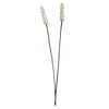 Vickerman H7SBS900 Natural Botanicals 24" Natural Dried Sola Berries Stick- 24/Bag. Dried And Preserved.