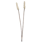 Vickerman H7SBS900 Natural Botanicals 24" Natural Dried Sola Berries Stick- 24/Bag. Dried And Preserved.
