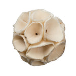 Vickerman H7SCRS900 Natural Botanicals 1.6" Sola Crape Ball. Includes 100 Pieces Per Pack.