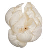 Vickerman H7SFL001 Natural Botanicals 1.6"/2.4"/3.2" 1-3" Assorted Peony Sola Head 24/Bag.