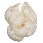 Vickerman H7SFL001 Natural Botanicals 1.6"/2.4"/3.2" 1-3" Assorted Peony Sola Head 24/Bag.