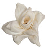 Vickerman H7SFL002 Natural Botanicals 1.6"/2.4"/3.2" 1-3" Assorted Jonquil Sola Head 24 Flowers/Polybag.