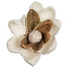 Vickerman H7SFL004 Natural Botanicals 1.6"/2.4"/3.2" Assorted Lillian Sola Head 24 Flowers/Polybag.