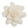 Vickerman H7SFL008 Natural Botanicals 1.6"/2.4"/3.2" Assorted Eleanor Sola Flower Head 24 Flowers/Polybag.