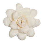 Vickerman H7SFL008 Natural Botanicals 1.6"/2.4"/3.2" Assorted Eleanor Sola Flower Head 24 Flowers/Polybag.