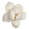 Vickerman H7SFL036 Natural Botanicals 1.6"/2.4"/3.2" Assorted Natural Dried Rosette Sola Flower Head 24/Bag.