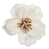 Vickerman H7SFL038 Natural Botanicals 1.6"/2.4"/3.2" Assorted Natural Dried Anemone Sola Flower Head 24/Bag.