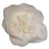 Vickerman H7SFL045 Natural Botanicals 1.6"/2.4"/3.2" Assorted Natural Dried Gardenia Sola Flower Head 24/Bag.