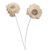 Vickerman H7SFS006 Natural Botanicals 4" Charki Skin Sola Flower 12" Stem - 12 Stems/Bag. Dried And Preserved.