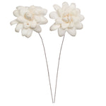 Vickerman H7SFS008 Natural Botanicals 4" Eleanor Sola Flower On 12" Stem - 12 Stems/Bag. Dried And Preserved.