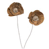Vickerman H7SFS016 Natural Botanicals 4" Walnut Sola Flower On 12" Stem - 12 Stems/Bag. Dried And Preserved.
