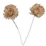 Vickerman H7SFS032 Natural Botanicals 4" Natural Dried Almond Sola Flower On 12" Wire Stem- 12 Stem/Polybag.