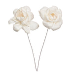 Vickerman H7SFS036 Natural Botanicals 4" Natural Dried Roestte Sola Flower On 12" Wire Stem- 12 Stem/Polybag.