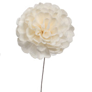 Vickerman H7SFS044 Natural Botanicals 4
