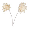 Vickerman H7SFS060 Natural Botanicals 4" Natural Dried Crocus Sola Flower On 12" Wire Stem- 12 Stem/Polybag.