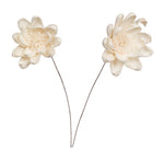Vickerman H7SFS060 Natural Botanicals 4" Natural Dried Crocus Sola Flower On 12" Wire Stem- 12 Stem/Polybag.