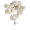 Vickerman H7SFS100 Natural Botanicals 4" Natural Dried Zinnia Sola Flower On 12" Wire Stem- 12 Stem/Polybag.