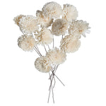 Vickerman H7SFS100 Natural Botanicals 4" Natural Dried Zinnia Sola Flower On 12" Wire Stem- 12 Stem/Polybag.