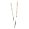 Vickerman H7SRS900 Natural Botanicals 24" Natural Dried Sola Rajani Stick- 24 Sticks/Polybag. Preserved.