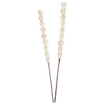 Vickerman H7SRS900 Natural Botanicals 24" Natural Dried Sola Rajani Stick- 24 Sticks/Polybag. Preserved.