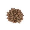 Vickerman H7STF000 Natural Botanicals 0.8" Star Flower Natural. Includes 2 Kilograms Of Product Per Unit.