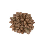 Vickerman H7STF000 Natural Botanicals 0.8" Star Flower Natural. Includes 2 Kilograms Of Product Per Unit.