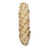 Vickerman H7STM999 Natural Botanicals 5.9" Strobus Medium Bleached. Includes 15 Pieces Per Unit