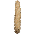 Vickerman H7STXL999 Natural Botanicals 10" Strobus Extra Large Bleached. Includes 10 Pieces Per Unit