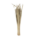 Vickerman H7SUL900 Natural Botanicals 40" Sun Palm Leaf Natural Clean. Includes 100 Pieces Per Pack